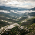 Banaue Rice Terraces